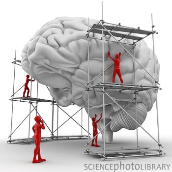 Genero más ingresos gracias al valor agregado de mi educación y trabajo…