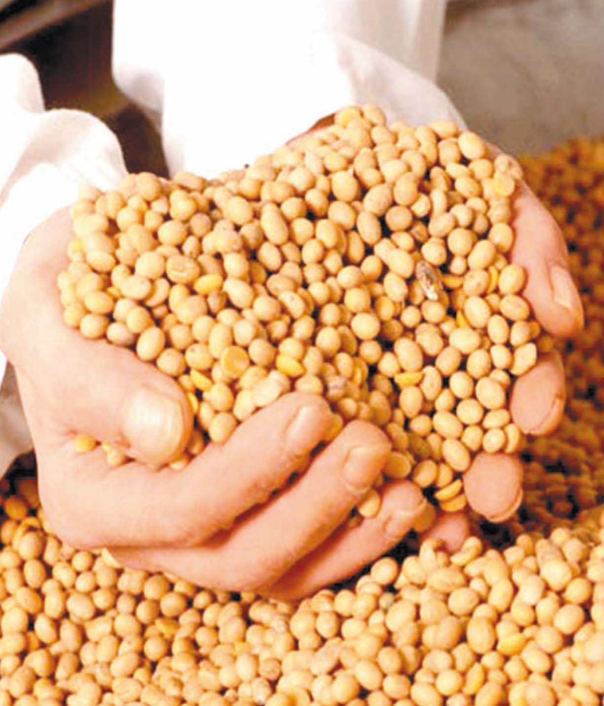 Impacto de la biotecnología en la agricultura