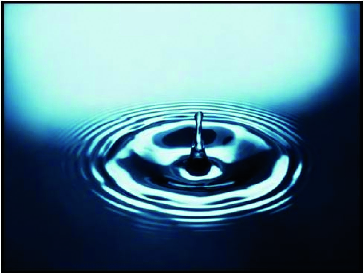 Unidad de Urología, Ginecológica y Suelo Pélvico