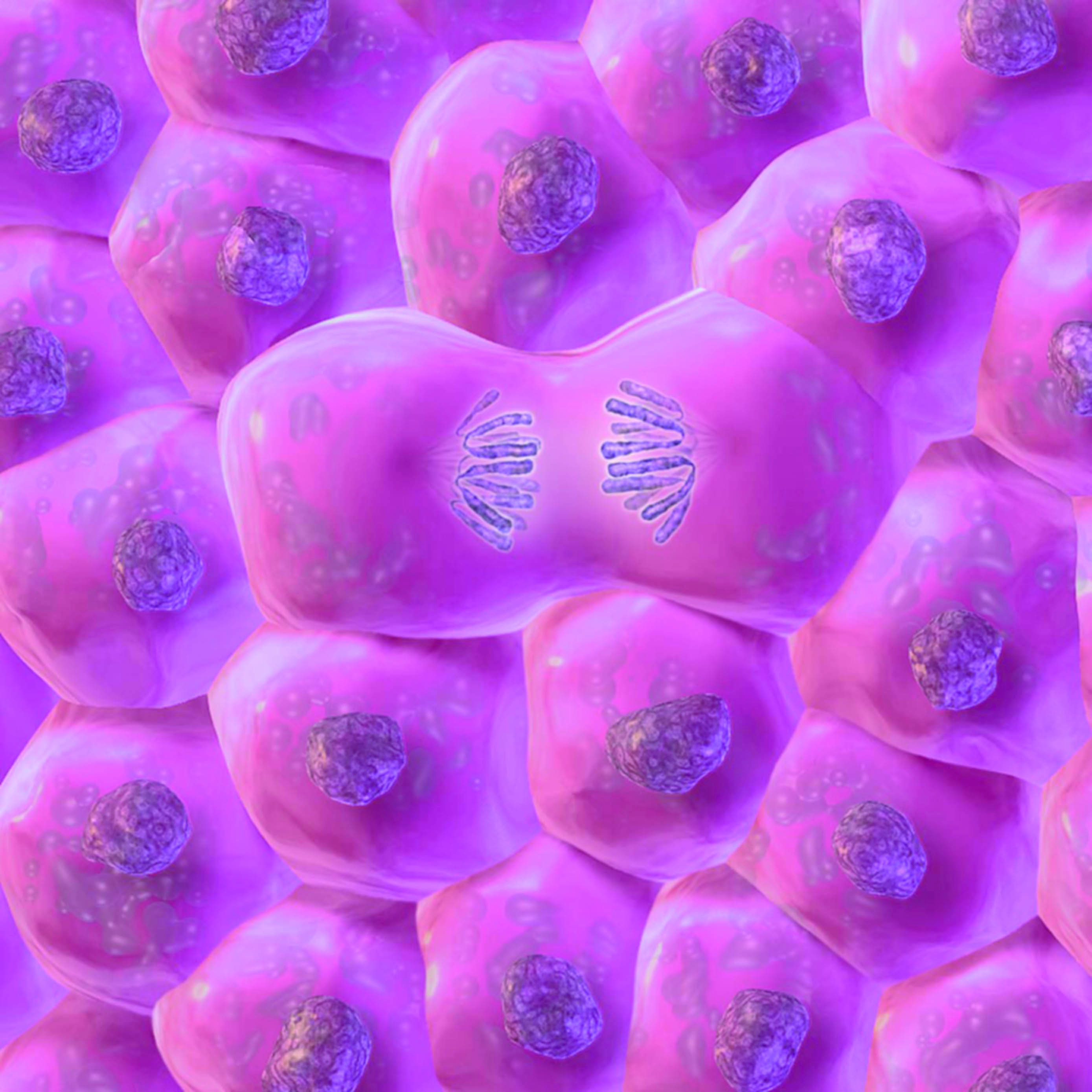 La célula madre en la medicina moderna, ¿una opción para la diabetes mellitus?