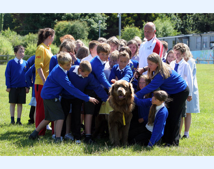 Un breve recuerdo de mi encuentro con los animales…