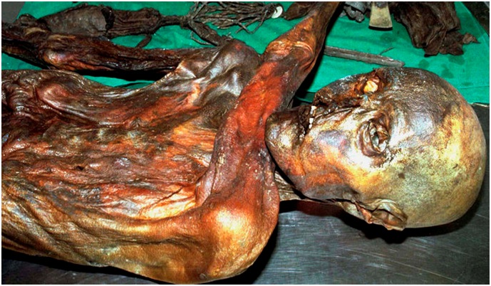 Por fin, 5,300 años después, le hacen la autopsia a Otzi