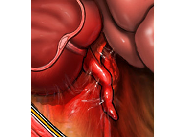 Dichos y citas: Apéndice-Aprender