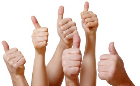 Dichos y citas: Aprobación-Árbol Familiar