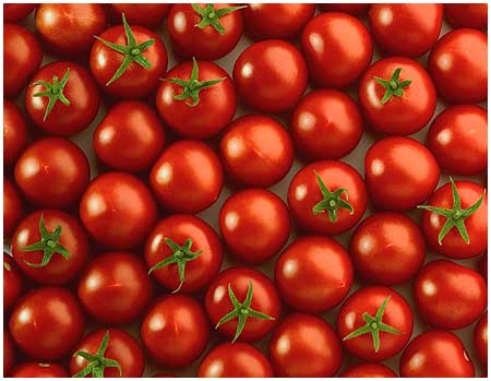 Tomates orgánicos contienen niveles más altos de antioxidantes que los tomates convencionales