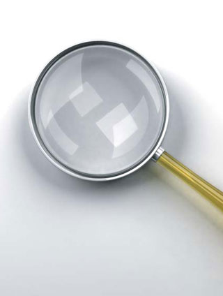 Dichos y refranes: Buscar