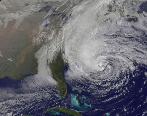 Declaración de WWF acerca de la intensa tormenta “Sandy”