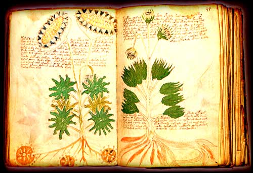Misterios Insolutos: El Enigmático Manuscrito de Voynich