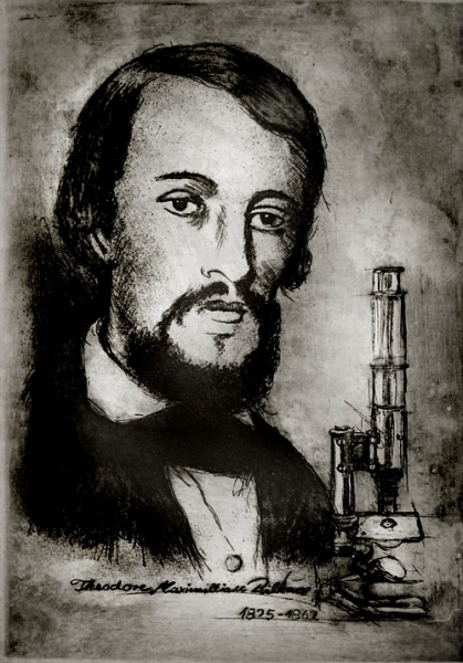 Theodor Maximilian Bilharz (1825-1862)