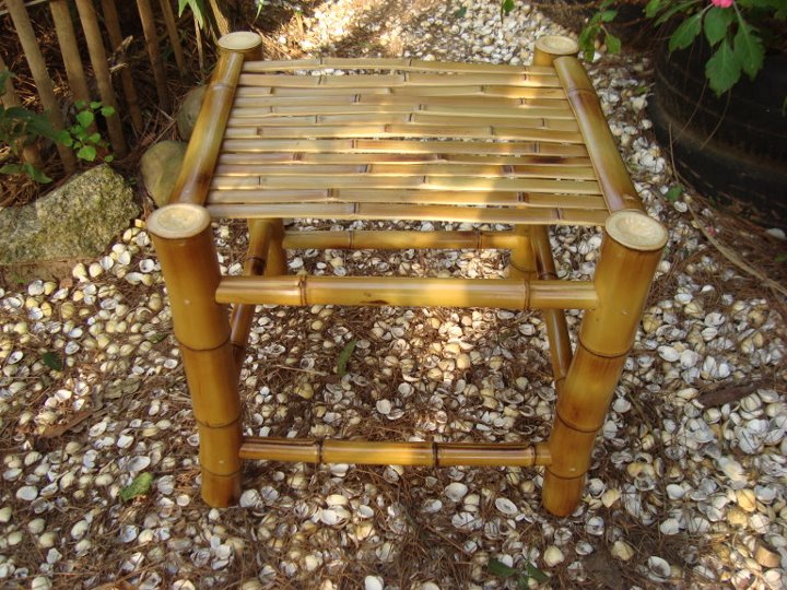 Extractivas aprender a desarrollar muebles de bambú