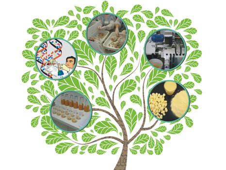 Mayor conocimiento en la web para conservar los alimentos