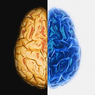 Hemisferio Izquierdo