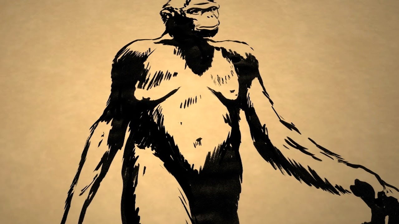 Who Was the First Human Ancestor? – Instant Egghead #31