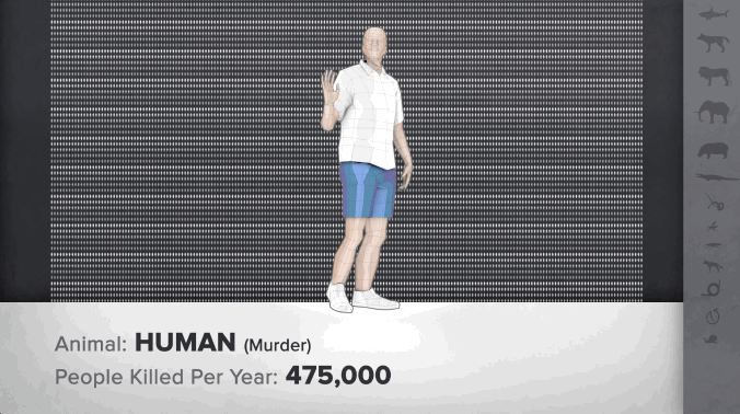 What is the World’s Deadliest Animal? | GOOD