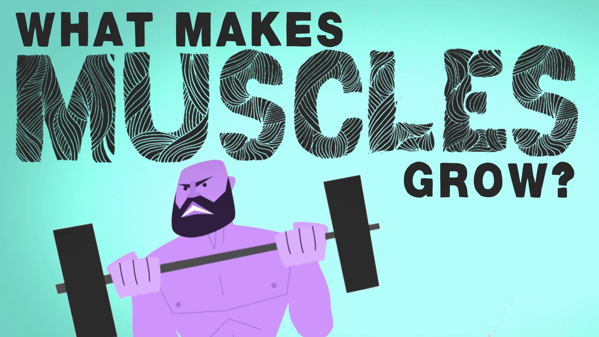 What makes muscles grow? – Jeffrey Siegel