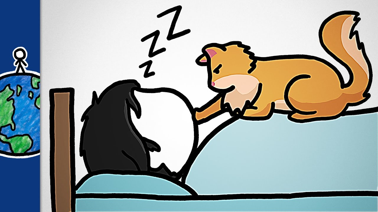 How Cats Became our Feline Overlords (ft. It’s Okay To Be Smart)