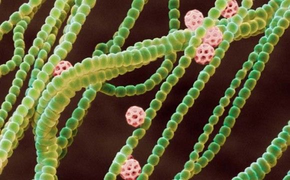 El gran cambio atmosférico