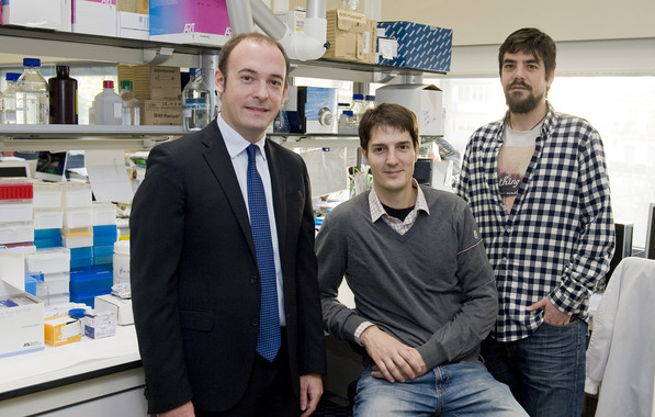 El mayor tiempo entre tumor primario y metástasis hace más agresivo al cáncer