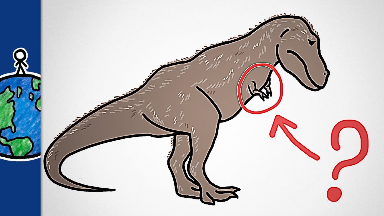 Why Did T Rex Have Such Tiny Arms?