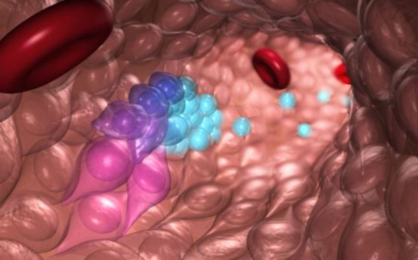 Una nueva técnica permite crear células madre de la sangre en el laboratorio