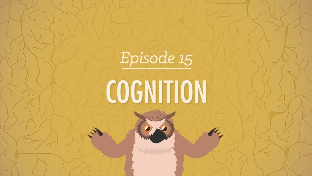Cognition: How Your Mind Can Amaze and Betray You – Crash Course Psychology #15