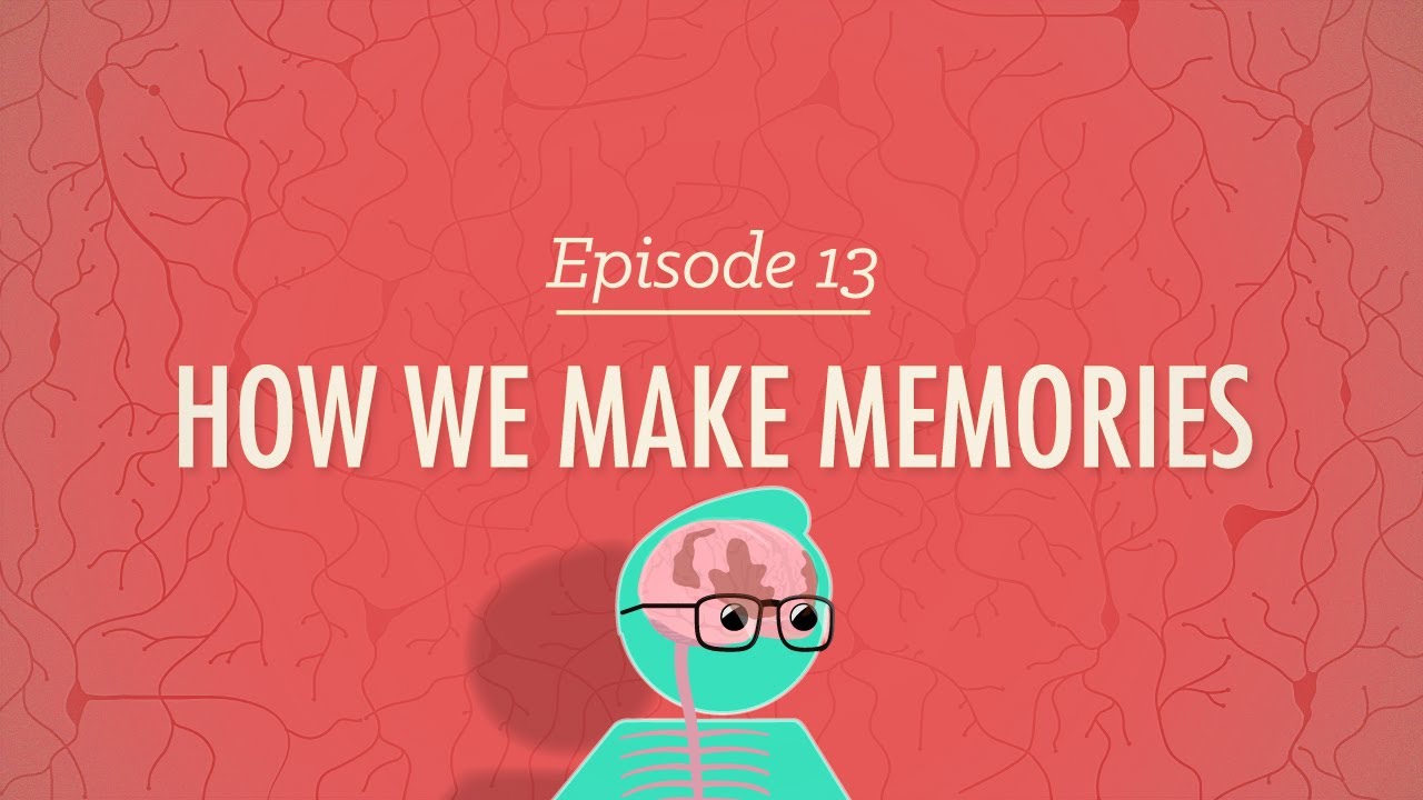 How We Make Memories – Crash Course Psychology #13