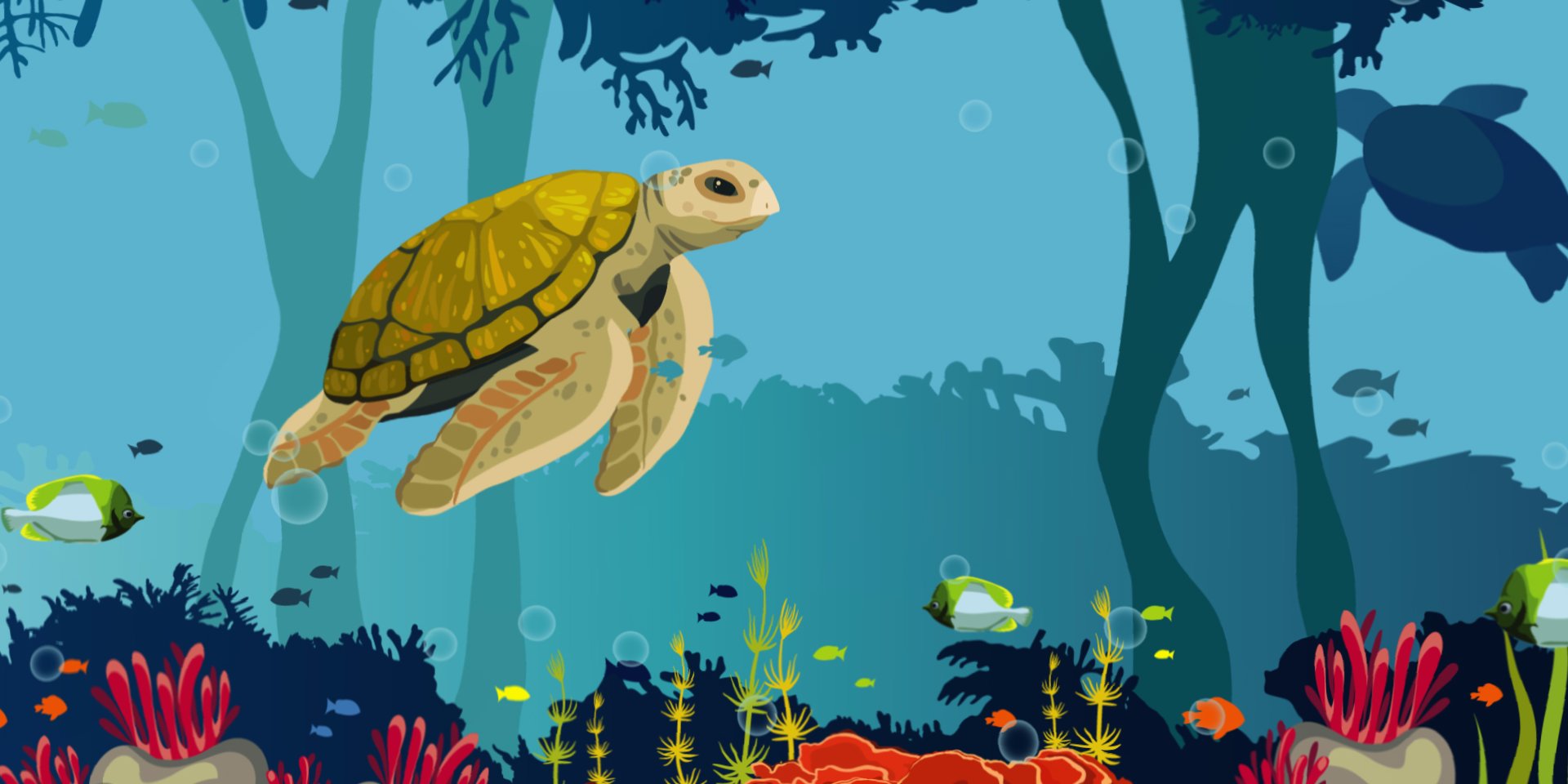 What Would Happen If All The Coral Reefs Died Off?