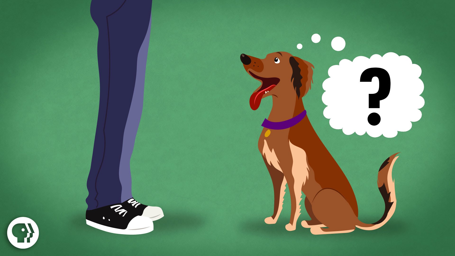 Does My Dog Know What I’m Thinking?
