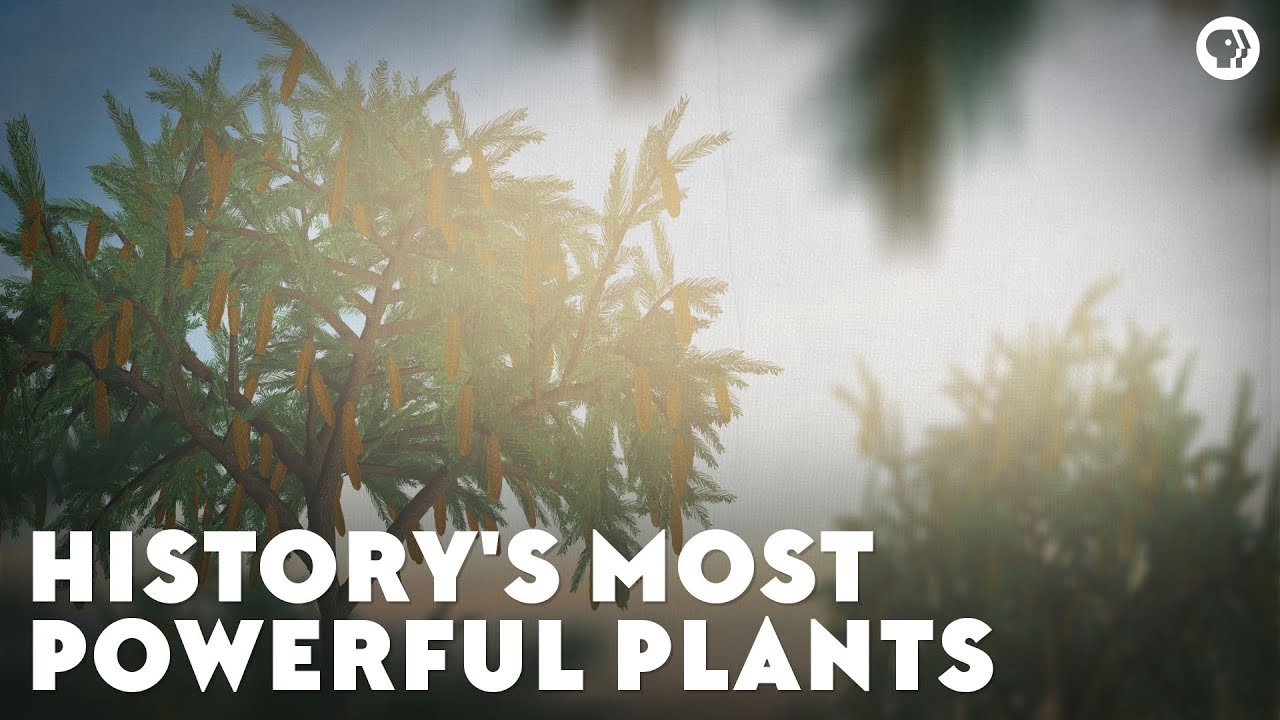 History’s Most Powerful Plants