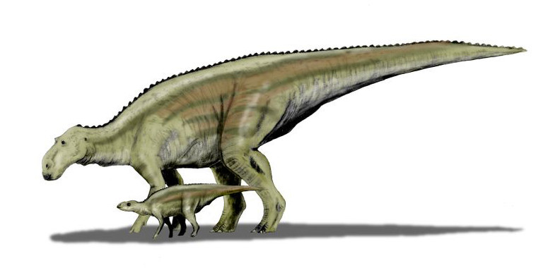 Así se desarrollaban las crías de los dinosaurios de pico de pato