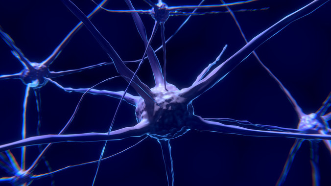 Descubierto un mecanismo fundamental para reparar los nervios dañados