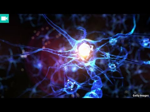 What is consciousness? | The Economist