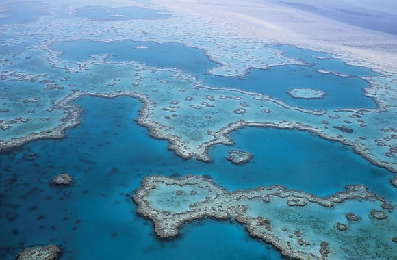 La Gran Barrera de Coral ha sobrevivido a cinco cambios ambientales drásticos