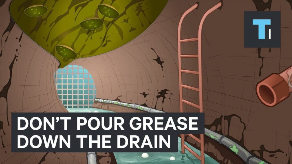 Why you should never pour grease down the drain Reporte Ciencia UANL