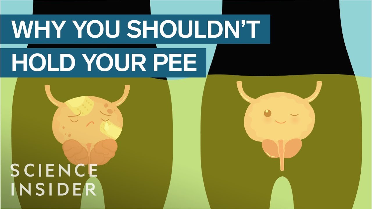 What Happens If You Hold Your Pee In For Too Long