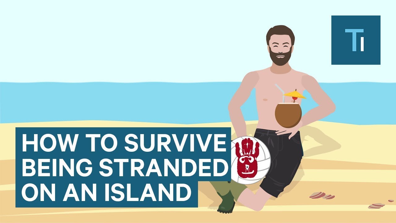 How To Survive If You Get Stranded On An Island