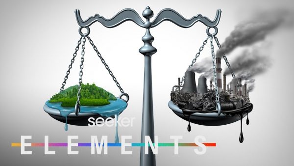 Carbon Credits Don’t Really Work, But Could They?