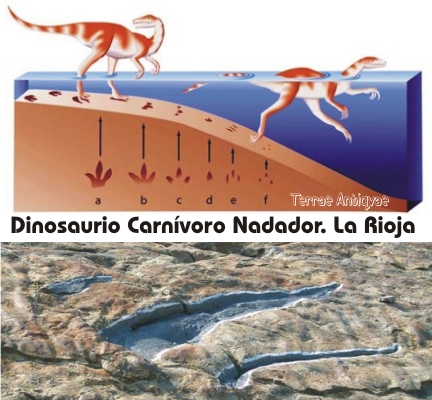 Algunos dinosaurios también nadaban