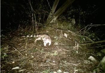 Problemática Ambiental que enfrenta el Monumento Natural Cerro de la Silla.