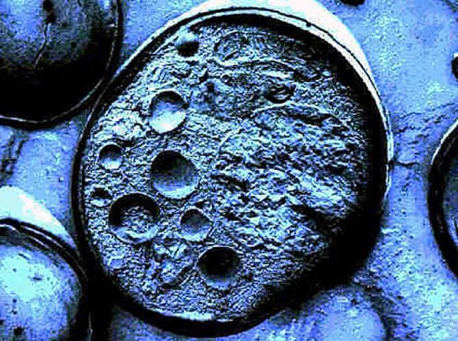 Reparan tejidos con células madre