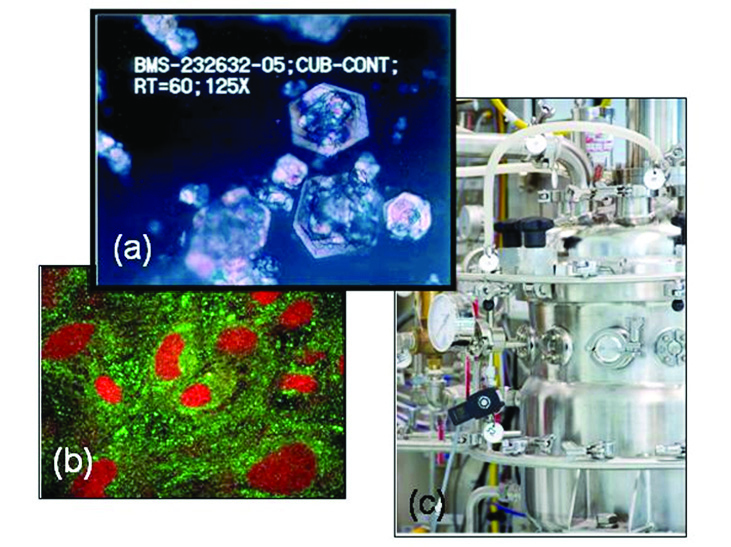 Conversión de la ciencia en desarrollo tecnológico