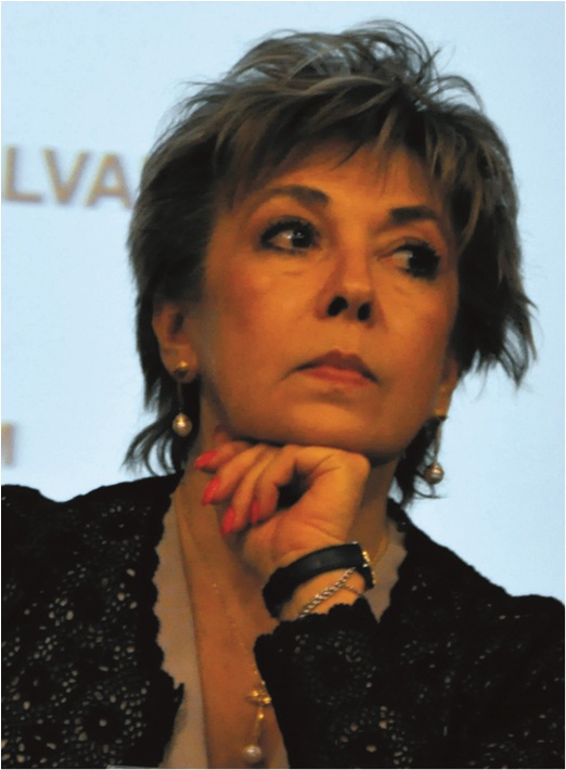 Formación ciudadana. Una mirada plural (autores)