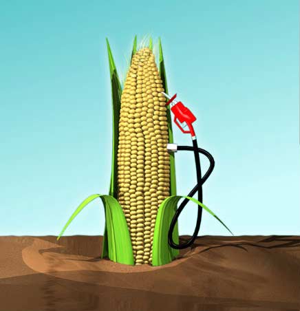 Microproducción de Etanol