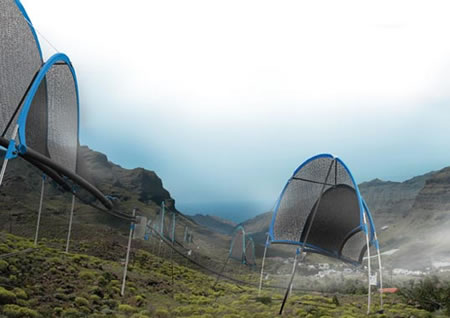 Recolectando agua como insectos…