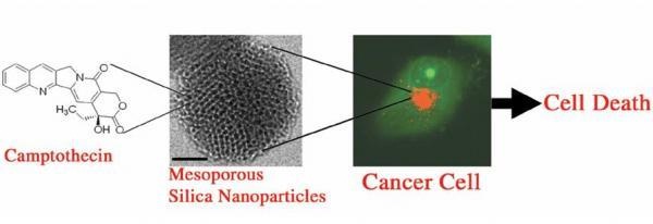 El nanouniverso al servicio de la medicina