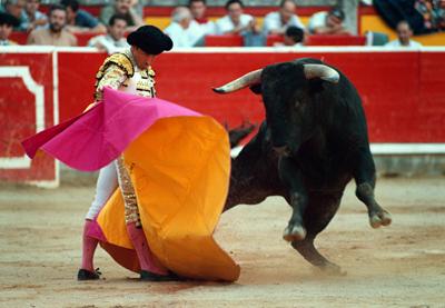 Arte, cultura, deporte o simplemente matanza