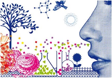 Agricultura biológica