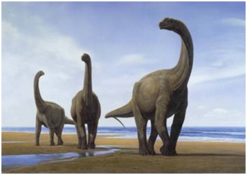 A 65 millones de años de su extinción, miden la temperatura de los dinosaurios