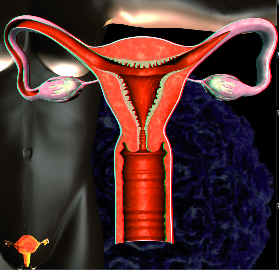 Cáncer cervical: interacción de la célula tumoral y su entorno inmunológico