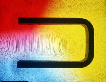 Proteína que puede actuar como brújula